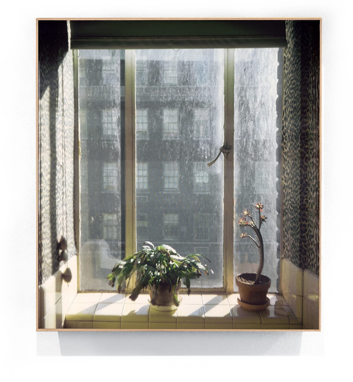New York, 1974 by Stephen Shore | The Lapis Press