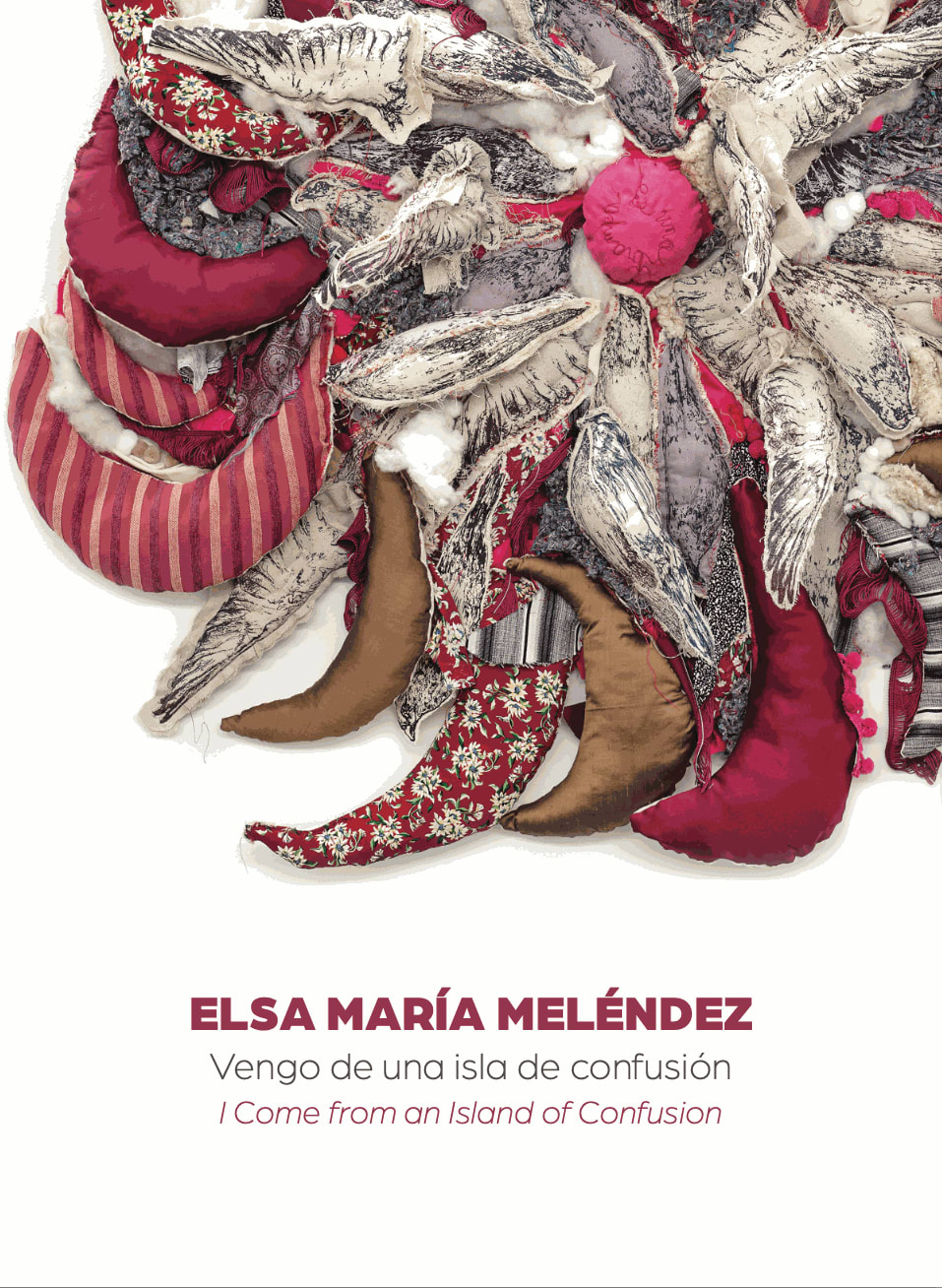 Elsa María Meléndez, Vengo de una isla de confusión/ I Come from an Island of Confusion