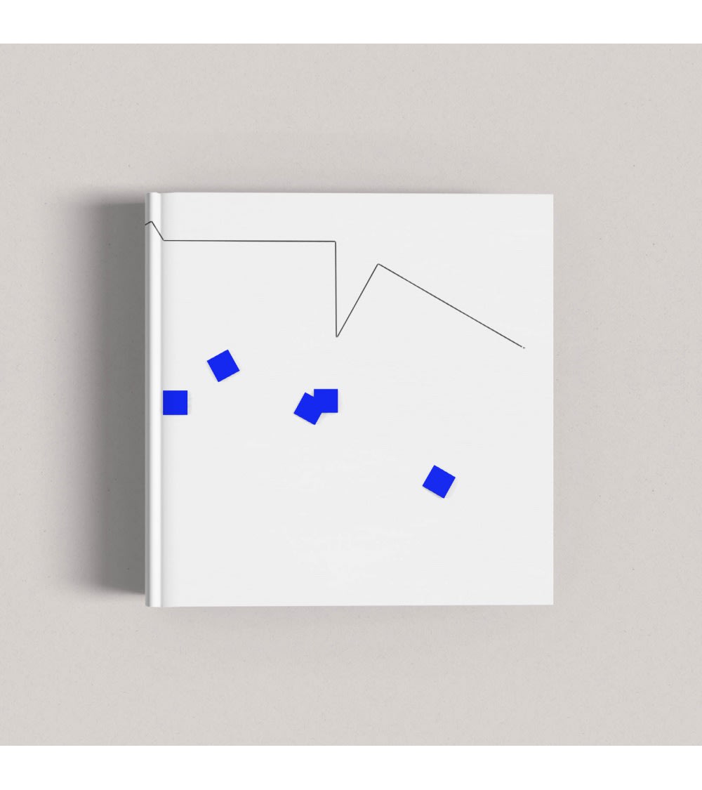 publications-lawrie-shabibi