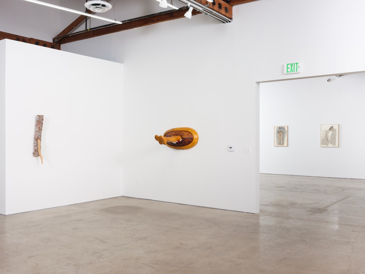 Shana Hoehn Explores the Uncanny Dichotomy Between Suffocation and Shelter in L.A.
