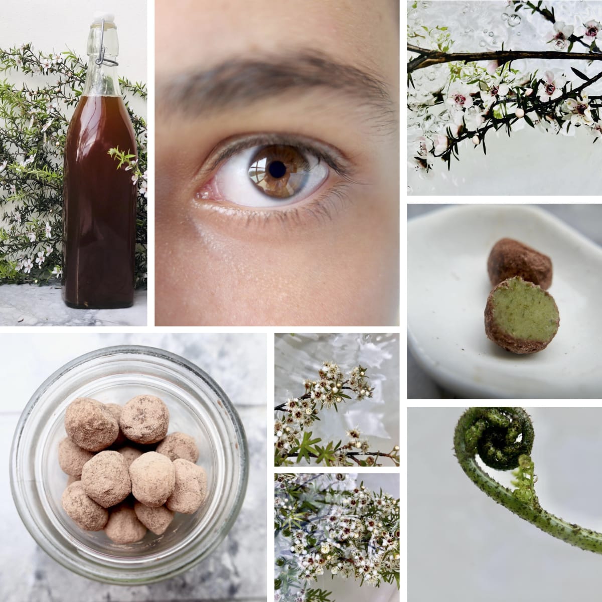 Art of Foraging Gift Card | Mamakan