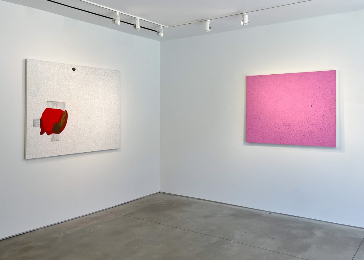 Exhibition view of abstract paintings by Maeve D’Arcy.