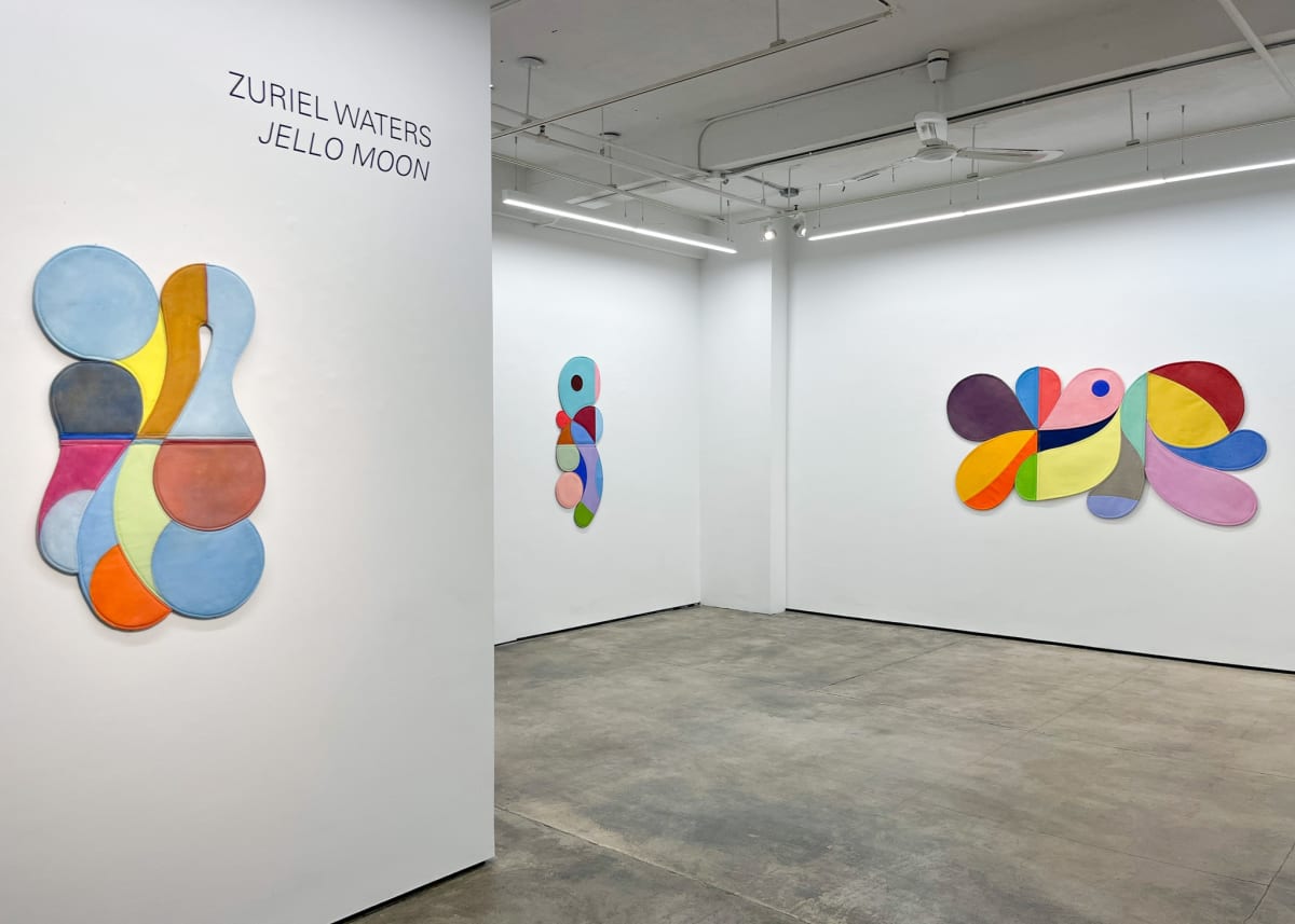 Installation view of Zuriel Water's solo show, "Jello Moon."