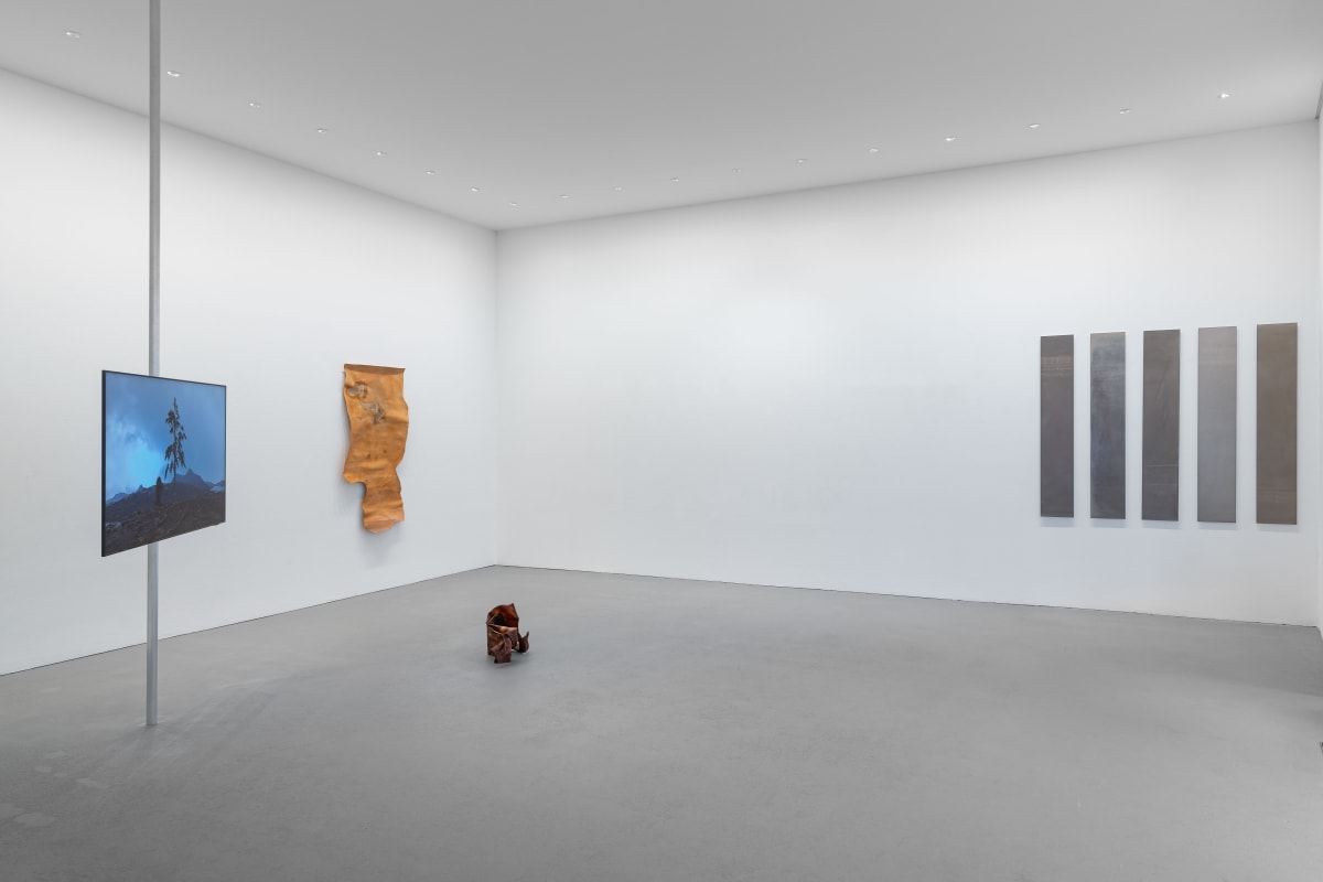under the sun | liz deschenes, rindon johnson and troika