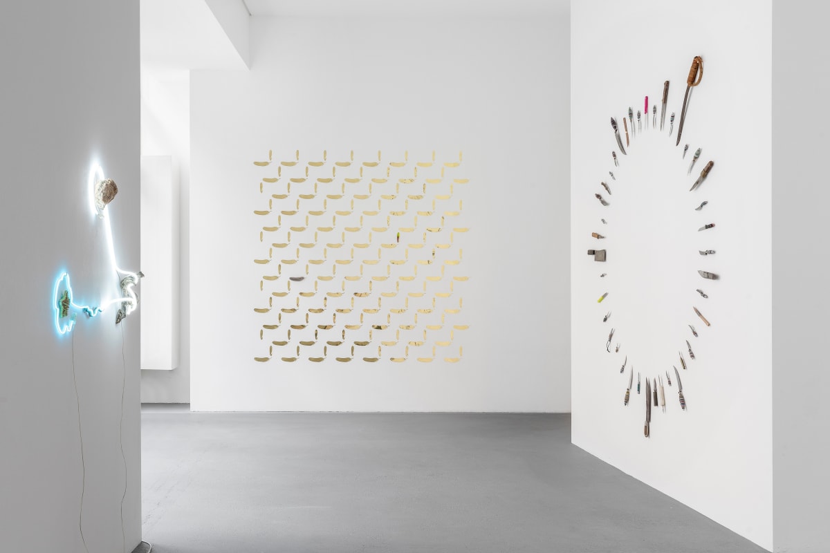 when there were more donkeys than icosahedrons | gabriel rico