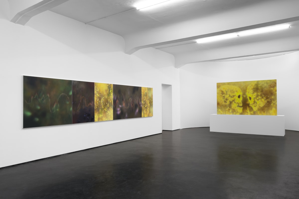 valeurs refuge | natacha donzé