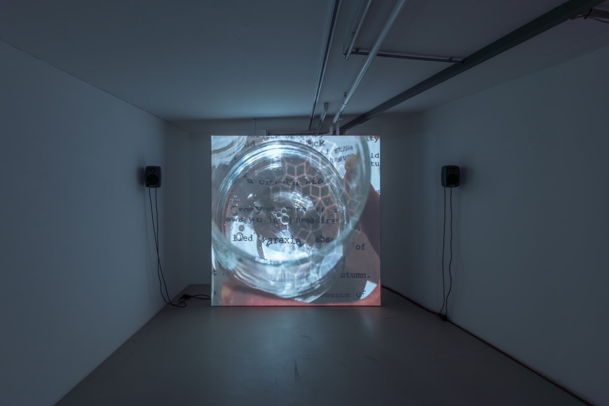 failed transcendence | group show