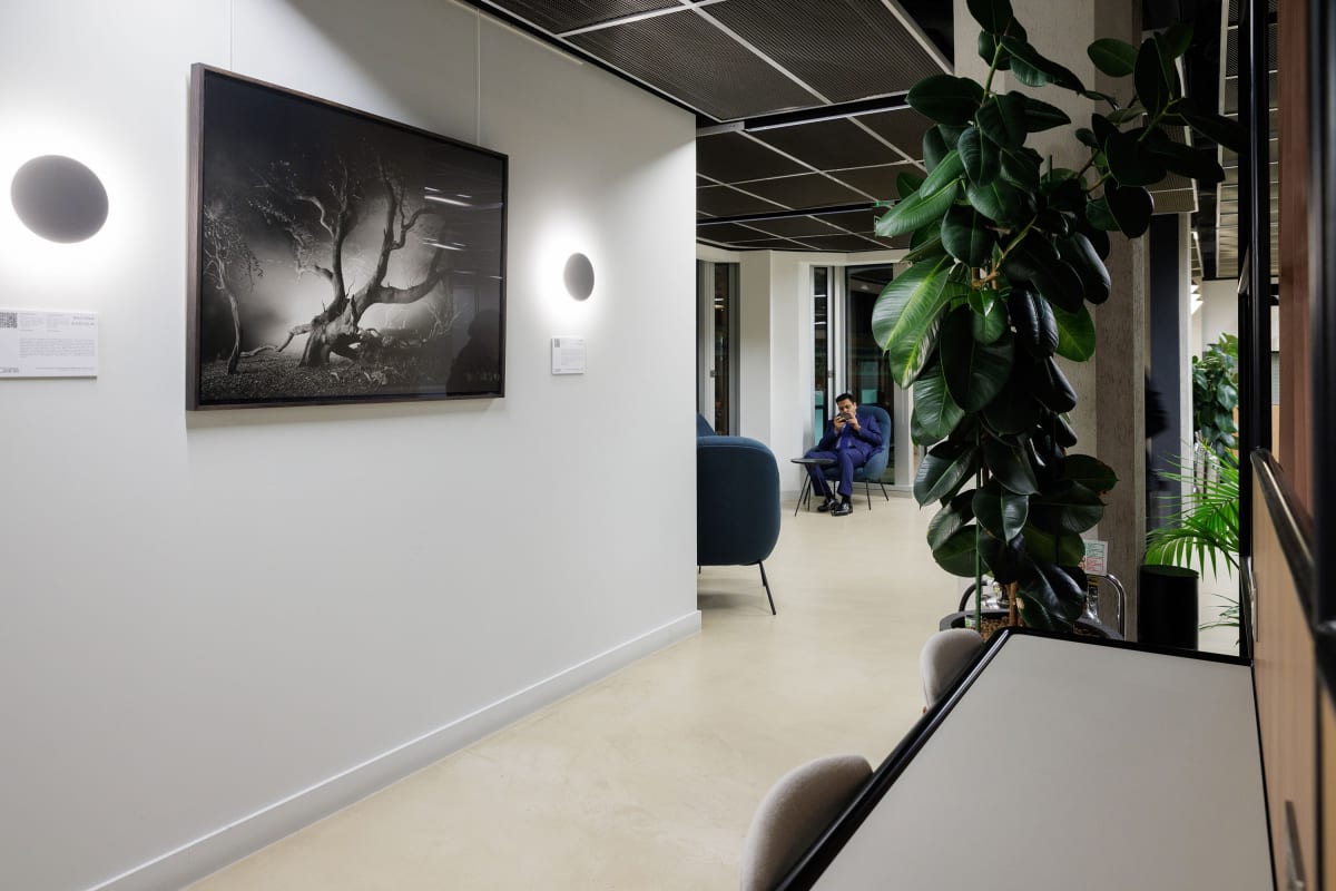 Selected works by Jasper Goodall on show as part of 'Future Planet' - a group exhibition