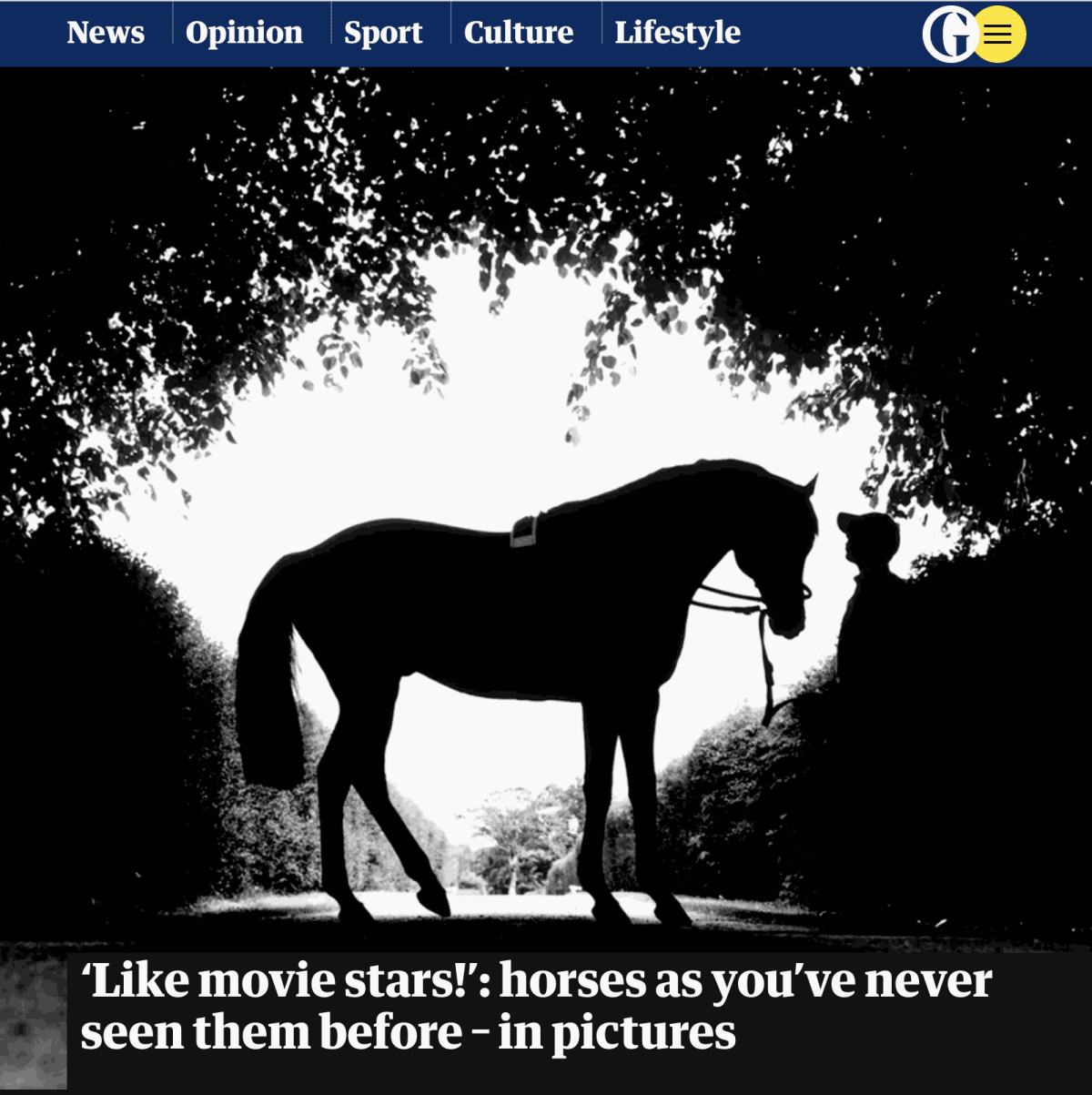 Recent press: "Like movie stars!" - horses as you've never seen them before - in pictures in The Guardian