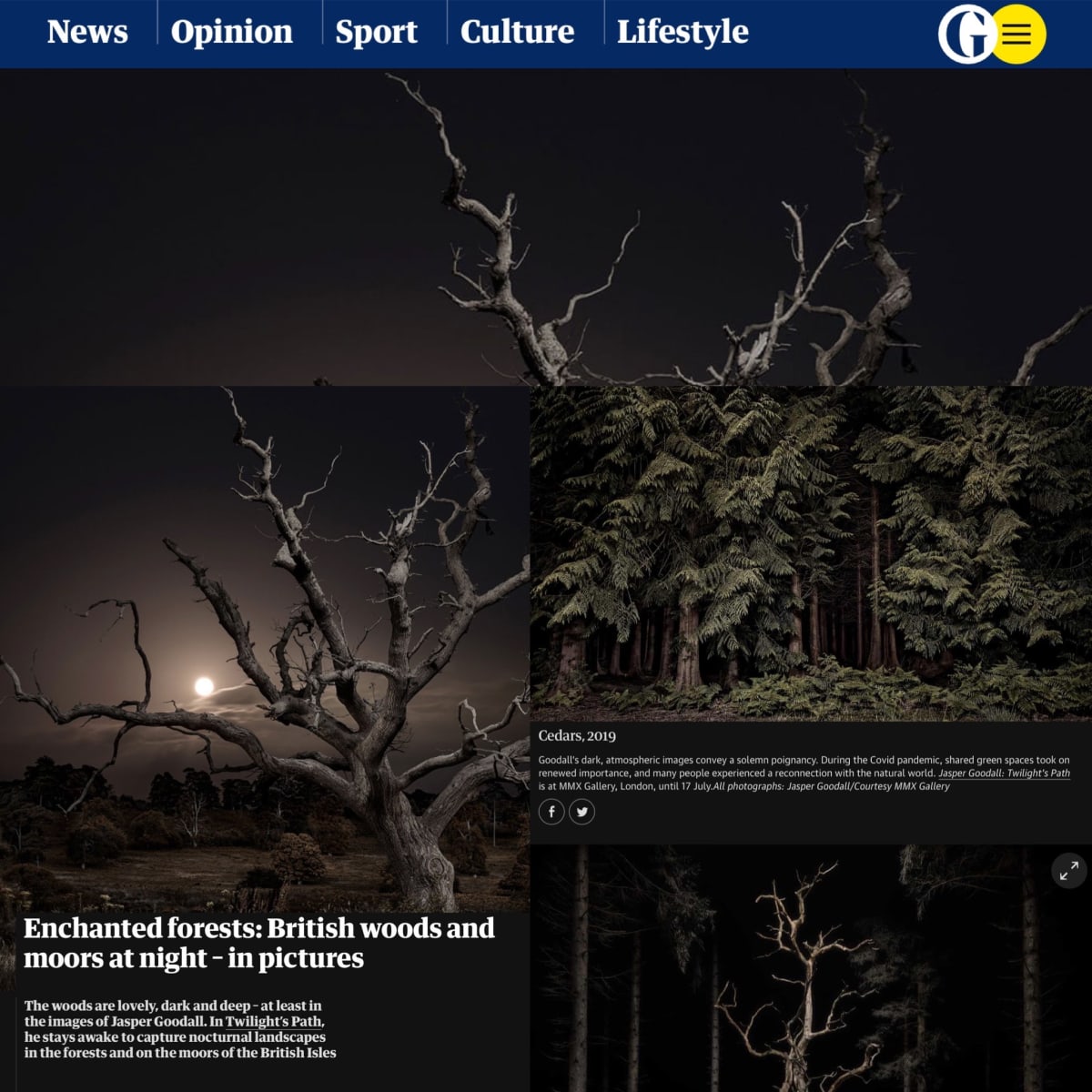 Enchanted forests: British woods and moors at night - in pictures | Online feature: Jasper Goodall's Twilight's Path at MMX Gallery