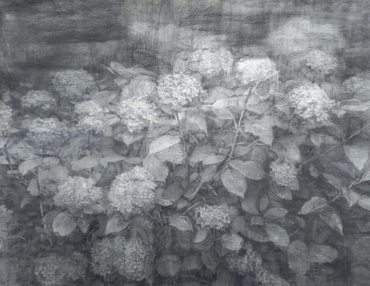 Maeve McCarthy at dlr Lexicon
