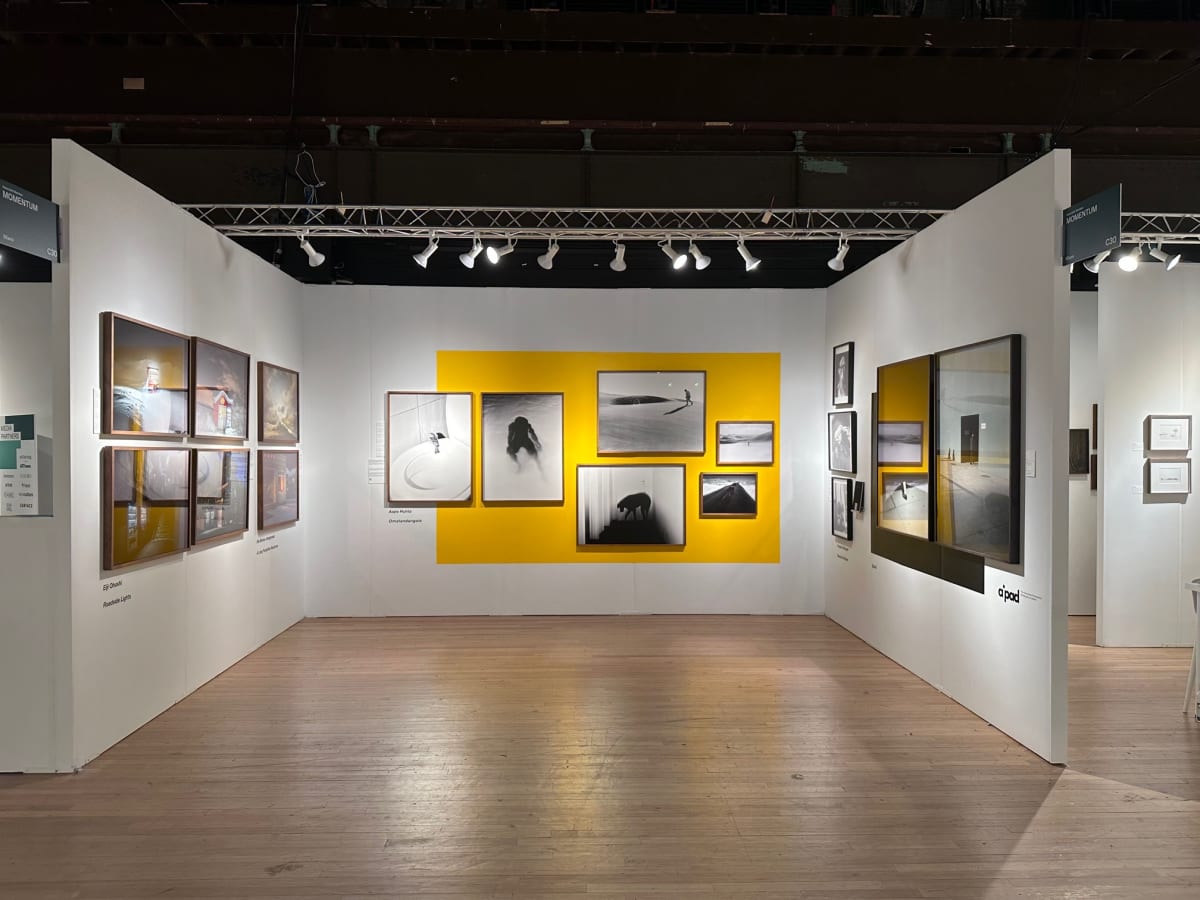 AIPAD- The Photography show