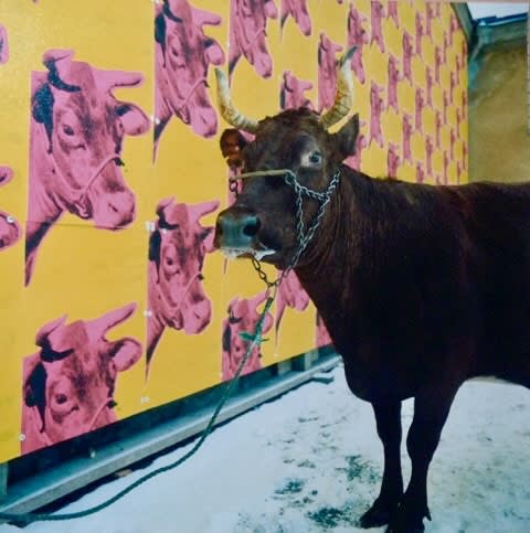 Why don´t you make them there? The true story of the so-called Andy Warhol Brillo Box scandal.