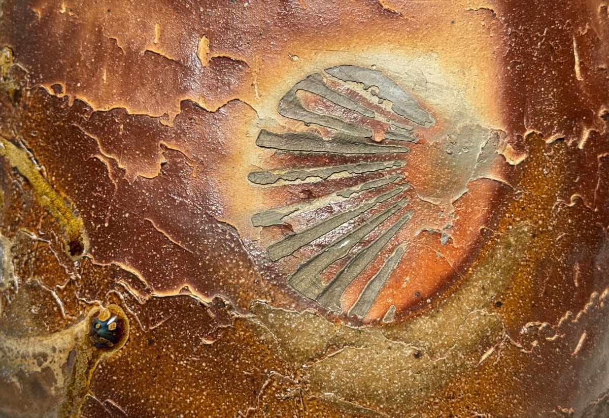 Nick Schwartz: Modern Fossils