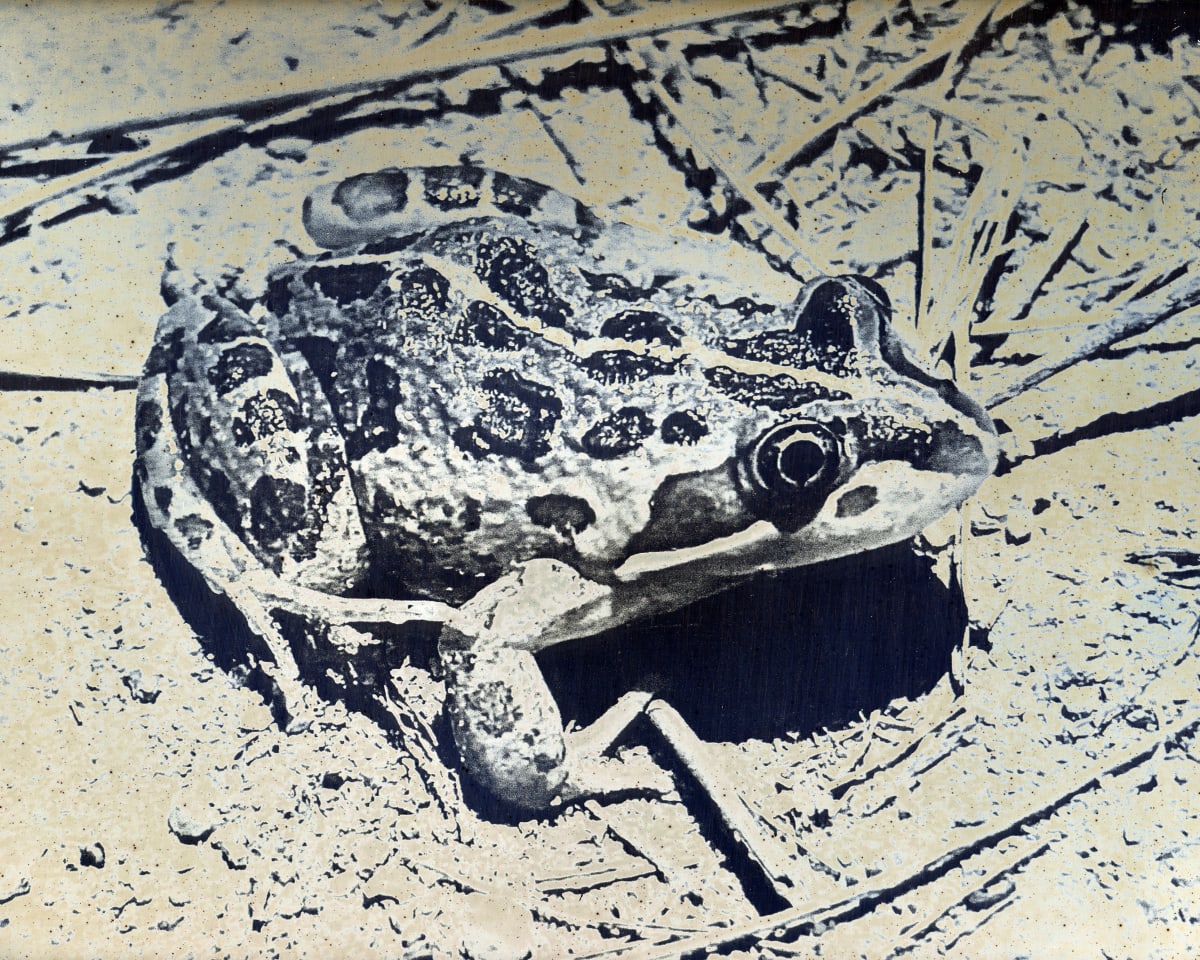 James Tylor finalist in Ramsay Art Prize