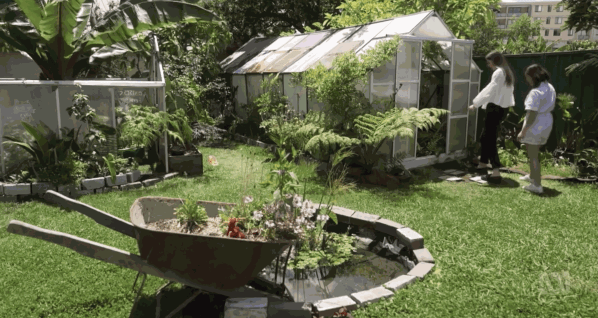 Neva Hosking on Gardening Australia