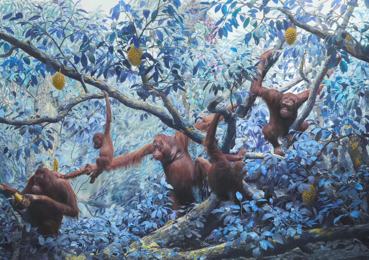 photograph by British photographer Jim Naughten of orangutans swinging from trees