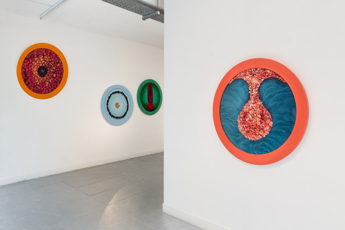 Installation view of HELEN CHADWICK: Bad Blooms at Richard Saltoun Gallery