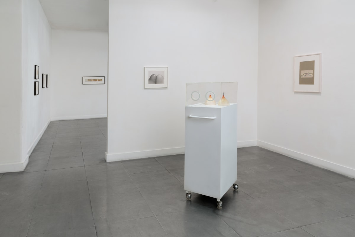 Reb 2016 Two Climaxes Saltoun Gallery Installantion View 05