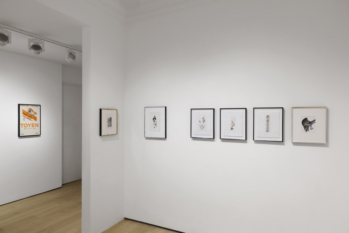 250901 Toyen Dreaming In The Margins 13