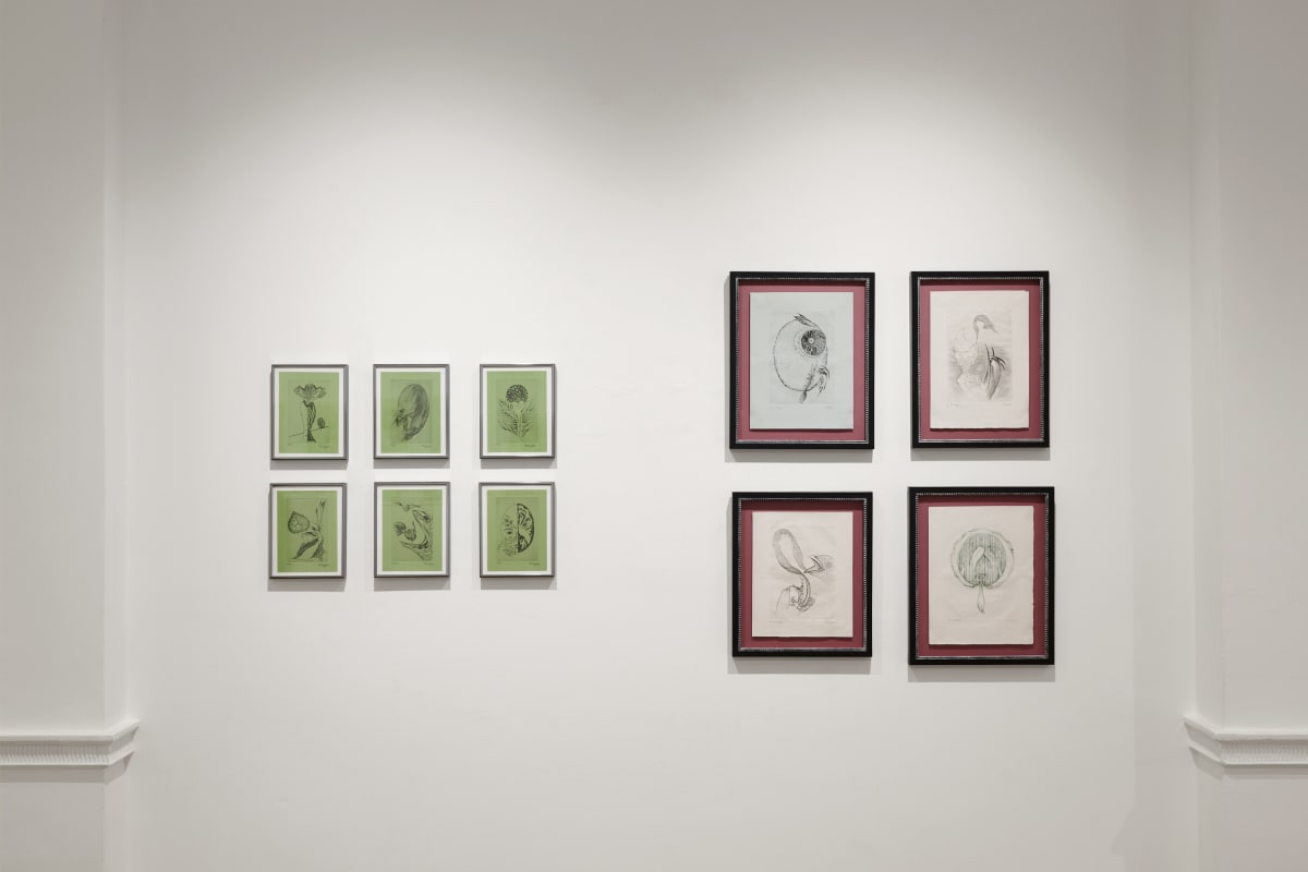 250901 Toyen Dreaming In The Margins 17