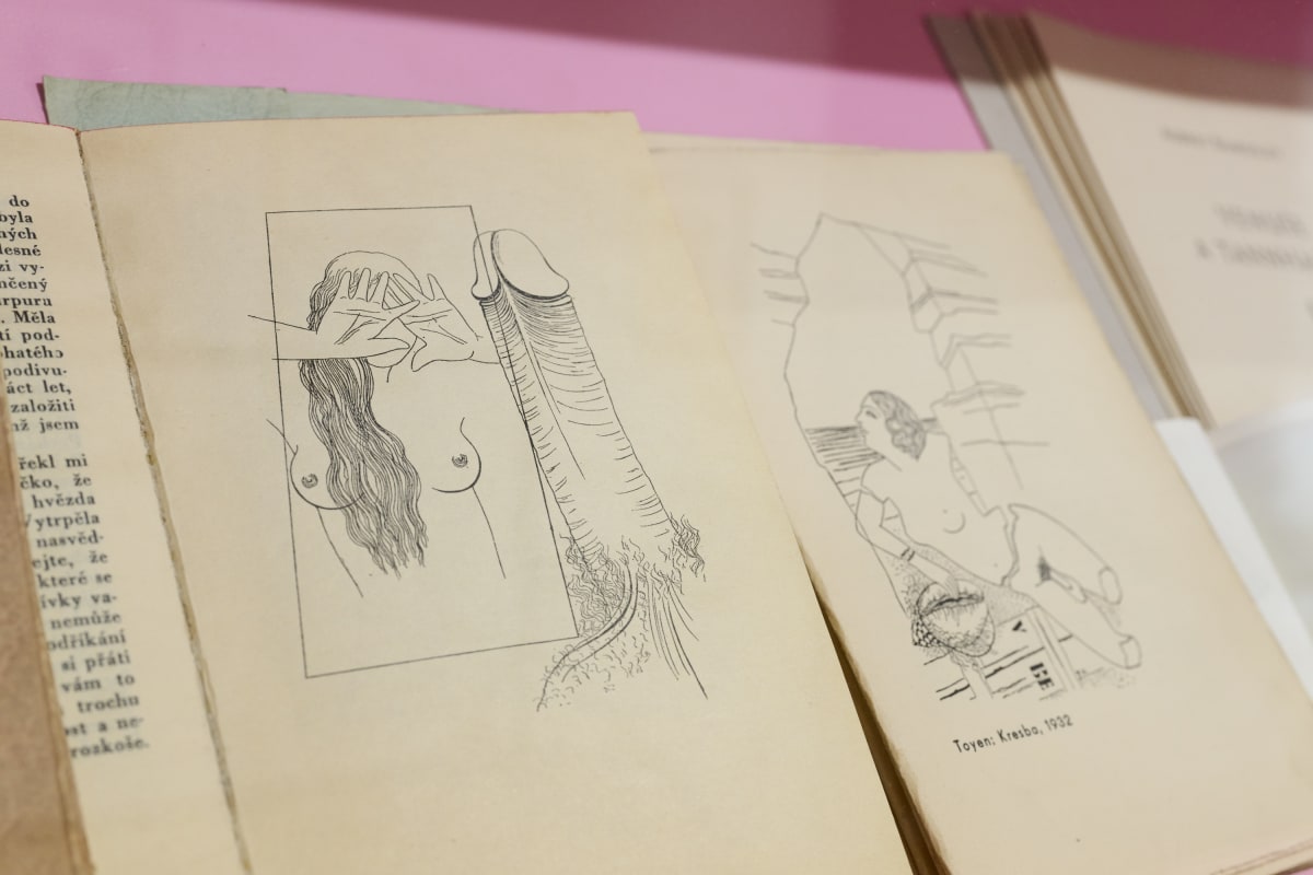 250901 Toyen Dreaming In The Margins 30