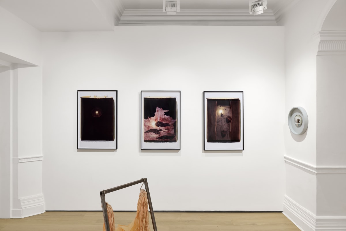 251010 Unveiled Desires Rs 08