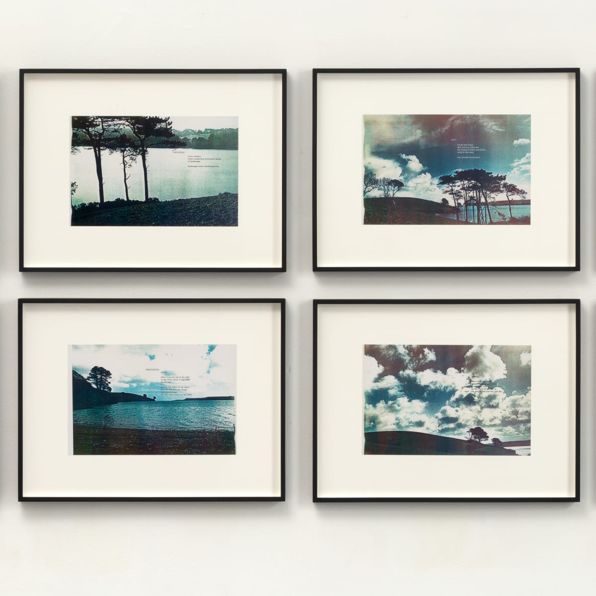 Durgan Field Working Series 2 (from Signals 1975 - 78), 1976 (detail)