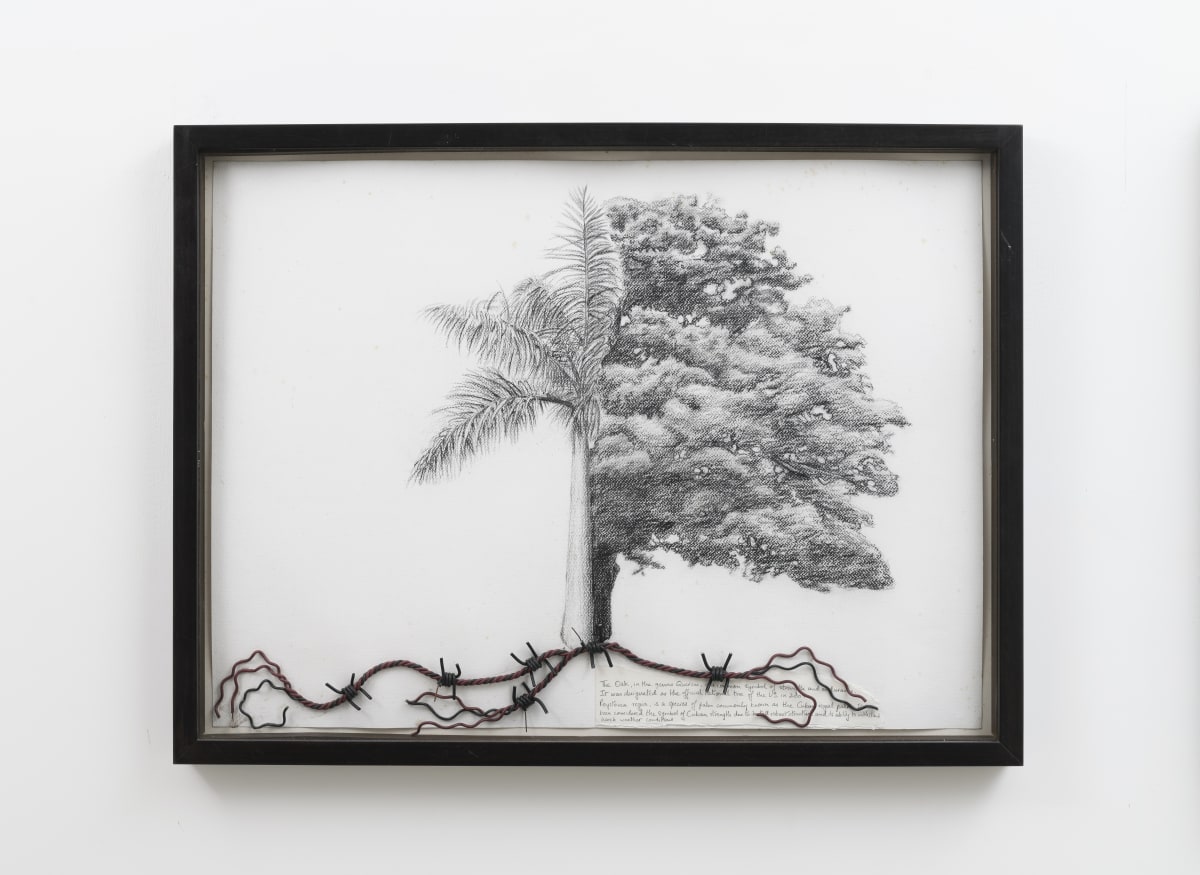 Reena Saini Kallat, Hyphenated lives (Oak-palm) , 2015