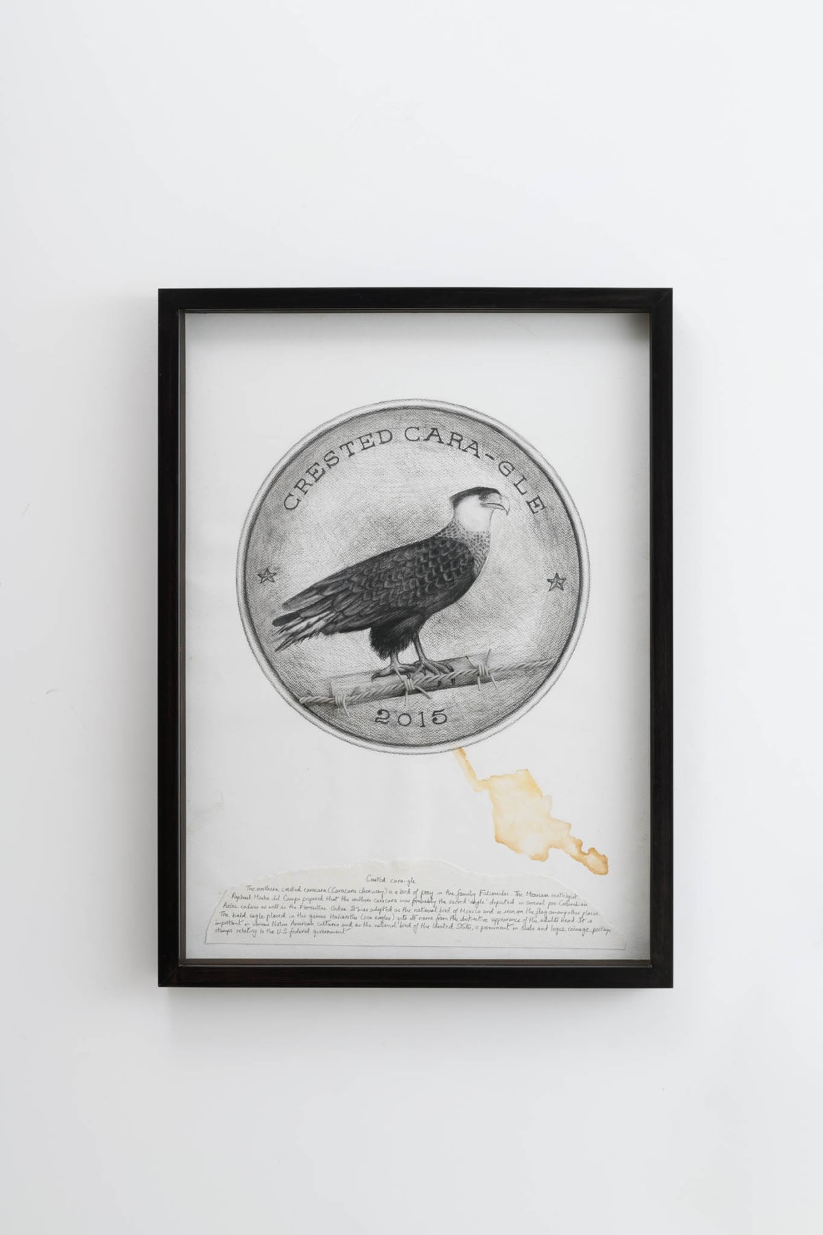 Reena Saini Kallat, Hyphenated lives (Crested cara-gle), 2015
