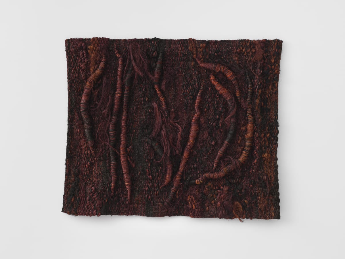 Magdalena Abakanowicz, Relief sombre de Stefa [Dark relief of Stefa], 1975