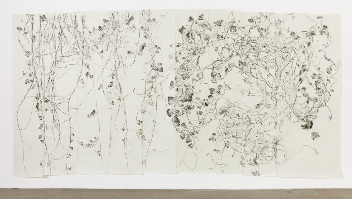 Simryn Gill, Thistle and Friends. Morning Glory, 2024