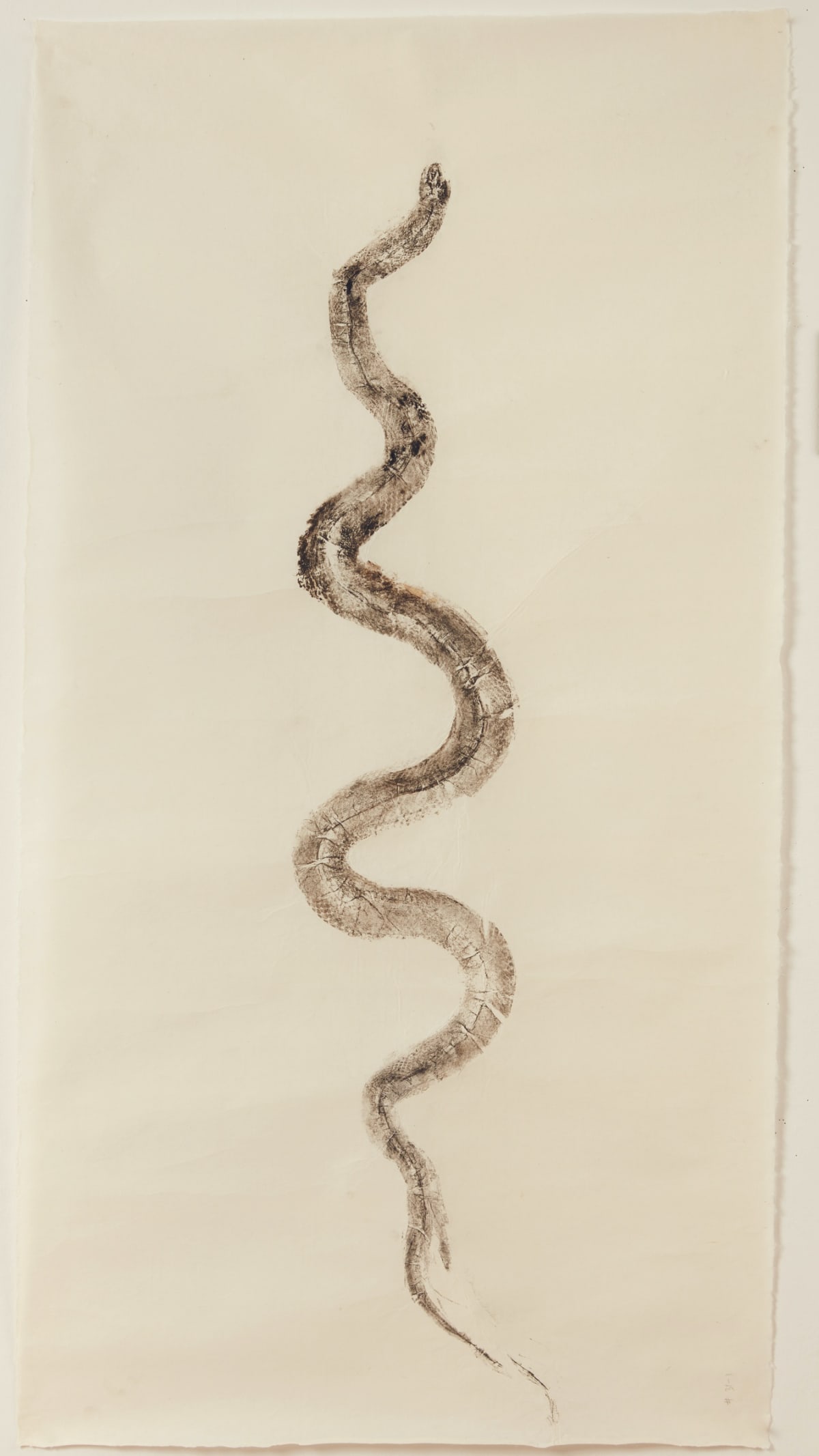 Naga Doodles 31 (Malayan Racer), 2017