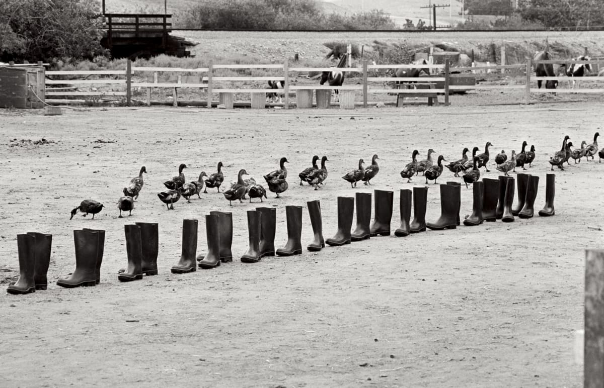 100 Boots Move On, 1972
