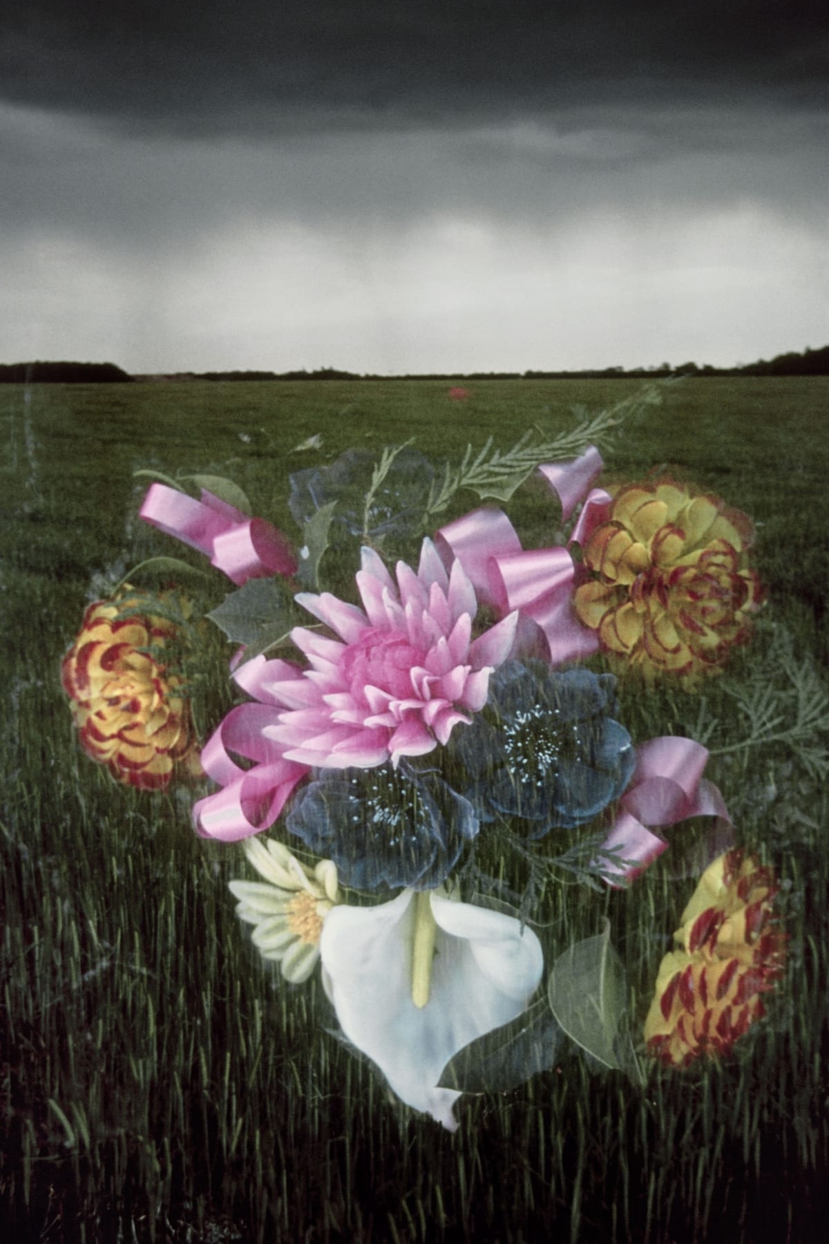 Jo Spence, The Final Project [Flowers], 1991 - 1992