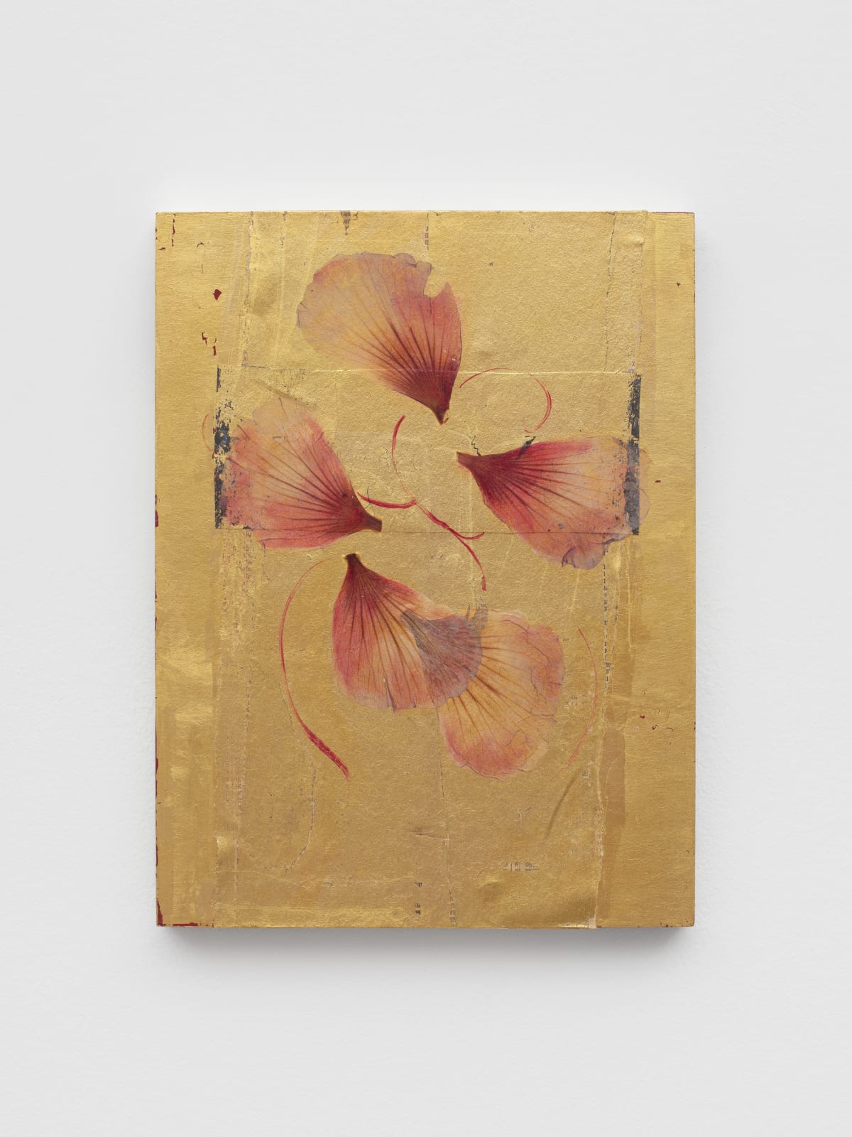 Ria Verhaeghe, Hibiscus Syriacus 4, 2017