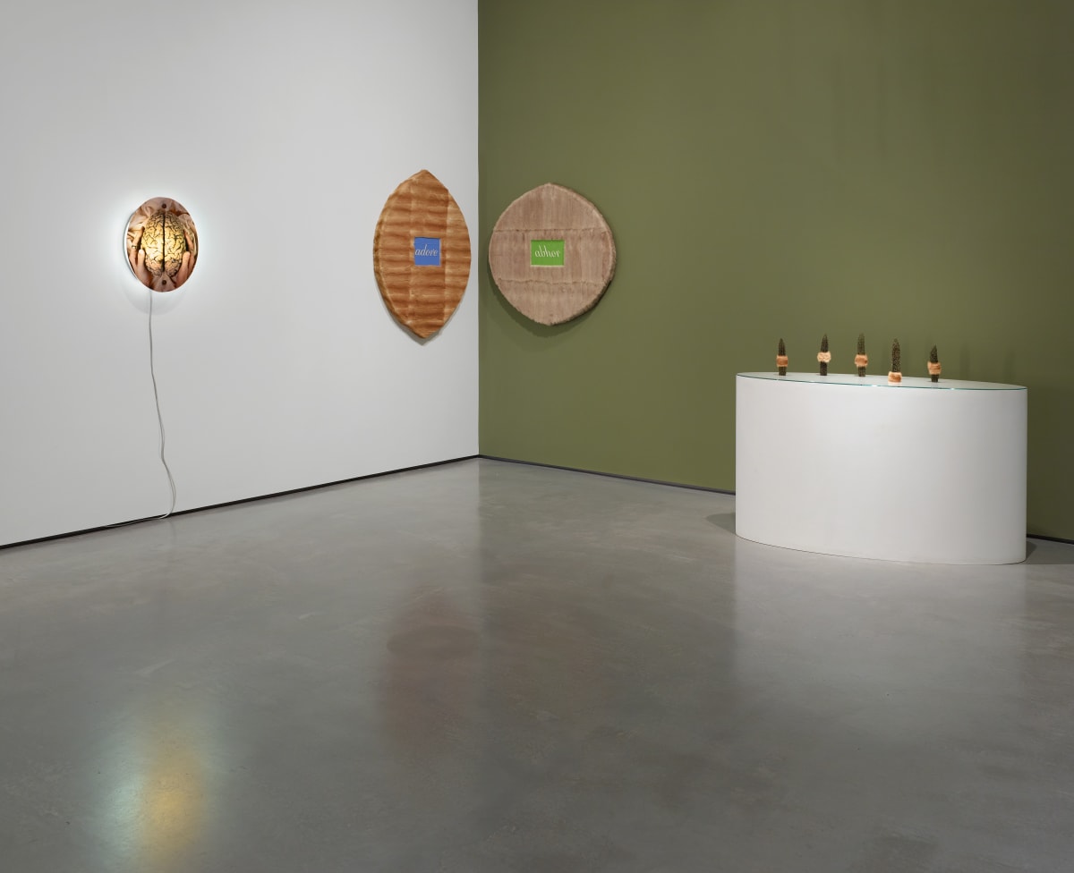 Installation view of Helen Chadwick: Life Pleasures at The Hepworth Wakefield, May to October 2025. Photo: Michael Pollard.