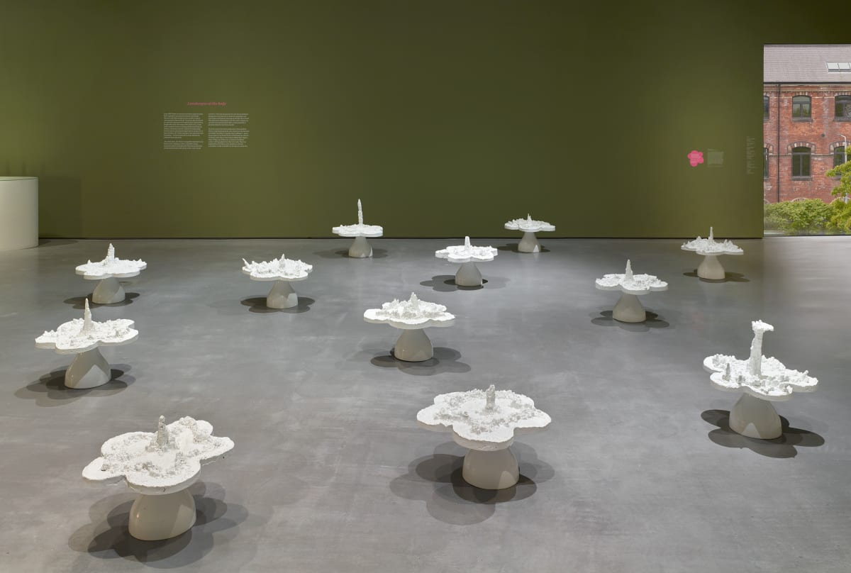 Installation view of Helen Chadwick: Life Pleasures at The Hepworth Wakefield, May to October 2025. Photo: Michael Pollard.