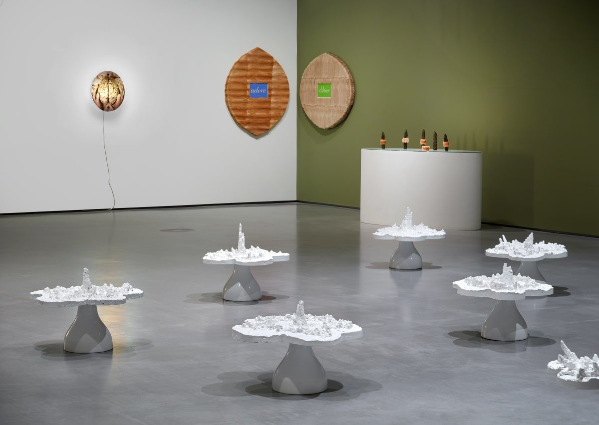 Installation view of Helen Chadwick: Life Pleasures at The Hepworth Wakefield, May to October 2025. Photo: Michael Pollard.
