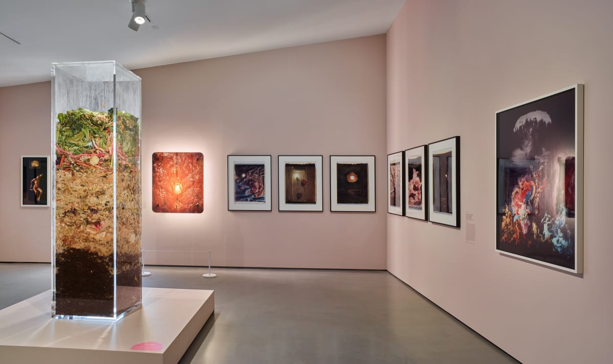 Installation view of Helen Chadwick: Life Pleasures at The Hepworth Wakefield, May to October 2025. Photo: Michael Pollard.
