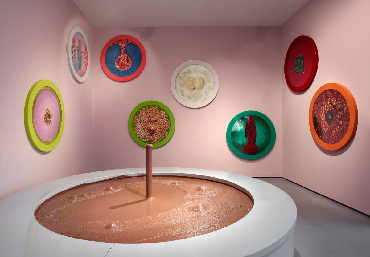 Installation view of Helen Chadwick: Life Pleasures at The Hepworth Wakefield, May to October 2025. Photo: Michael Pollard.