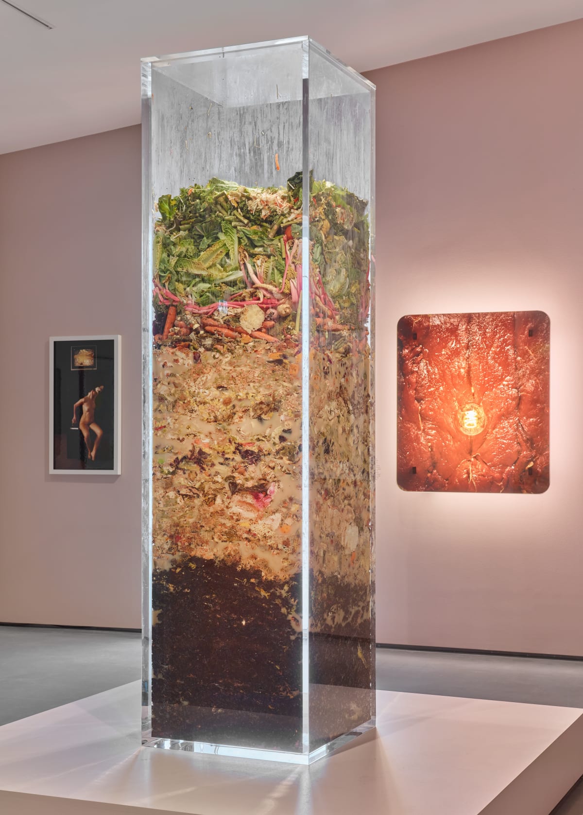 Installation view of Helen Chadwick: Life Pleasures at The Hepworth Wakefield, May to October 2025. Photo: Michael Pollard.