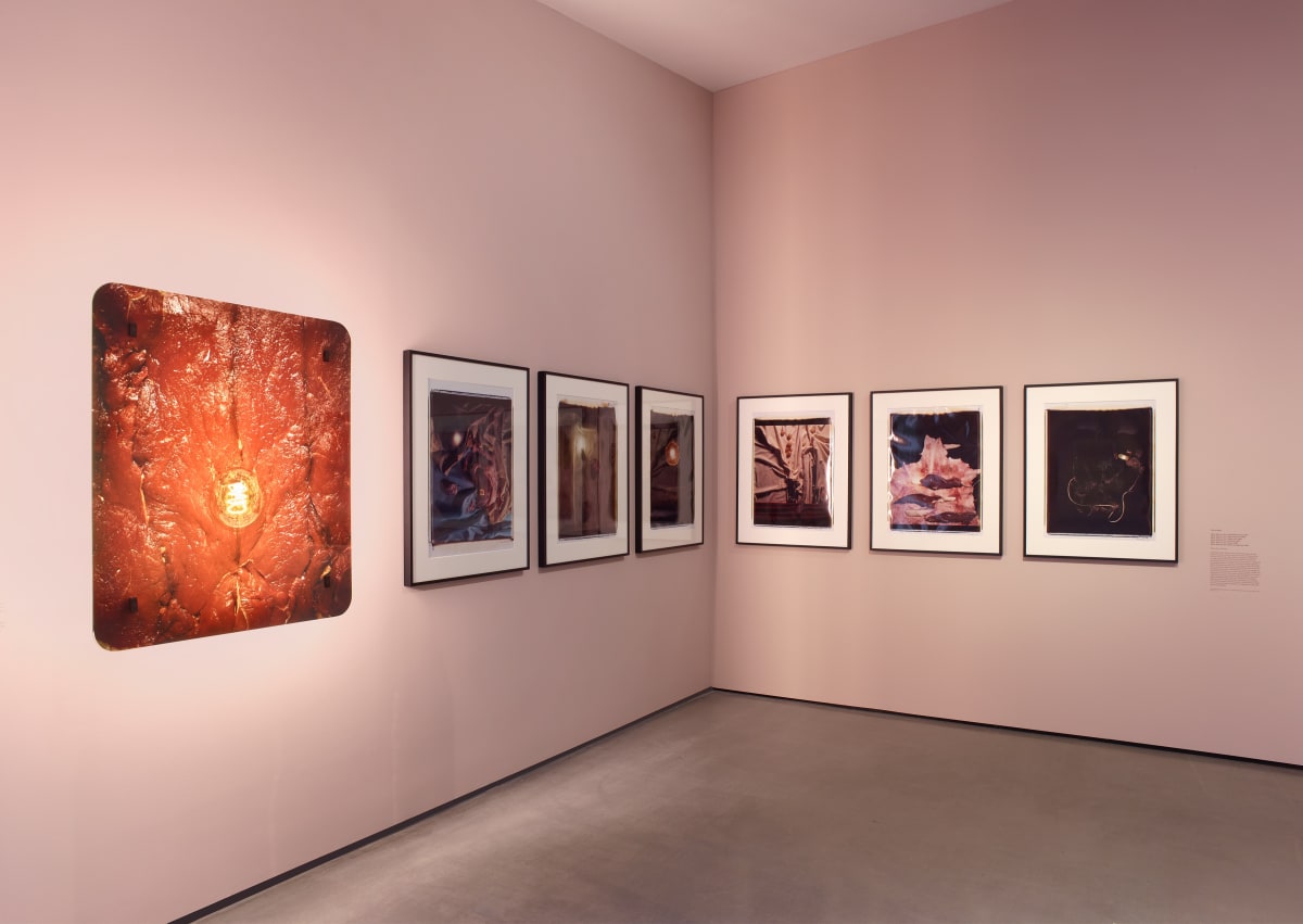 Installation view of Helen Chadwick: Life Pleasures at The Hepworth Wakefield, May to October 2025. Photo: Michael Pollard.