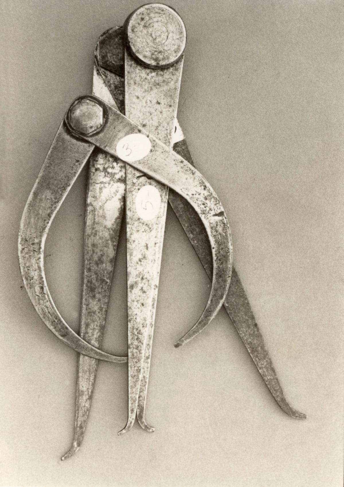 Platinum Prints Show A Closer View Rondal Partridge Archives