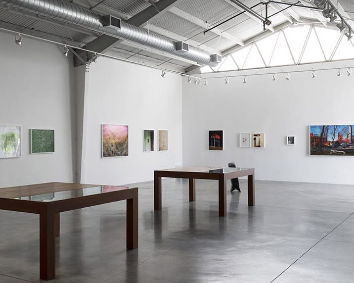 Redheaded Peckerwood | 29 June - 3 August 2013