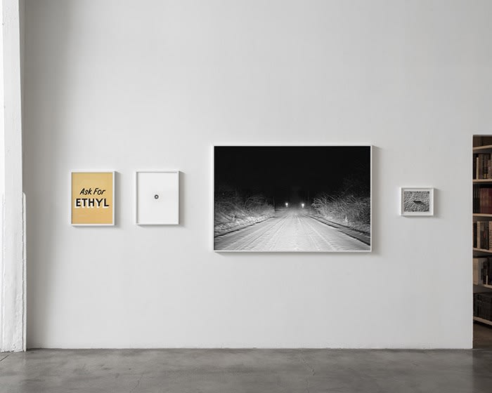 Redheaded Peckerwood | 29 June - 3 August 2013