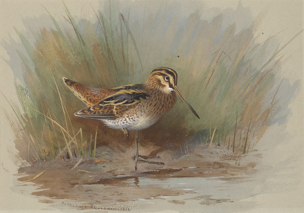 Back from the hill Online exhibition