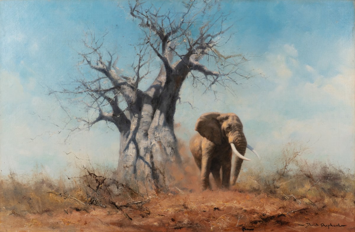 Africa Online exhibition