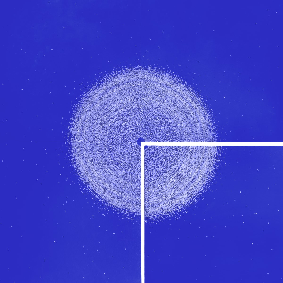 RSA New Contemporaries 2025