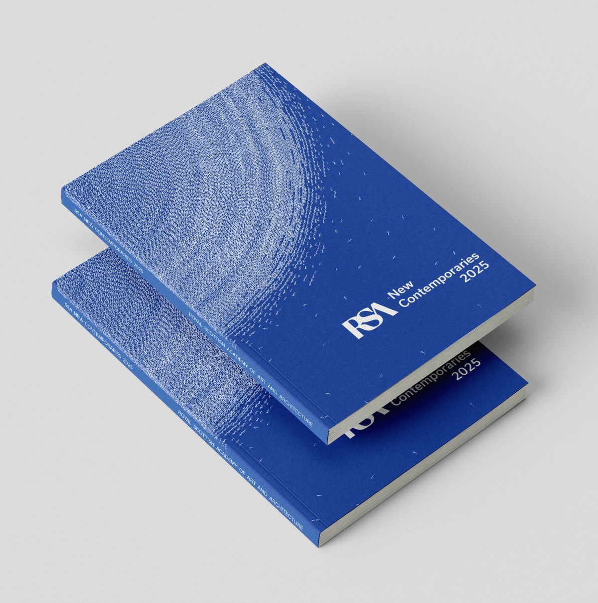 RSA New Contemporaries 2025